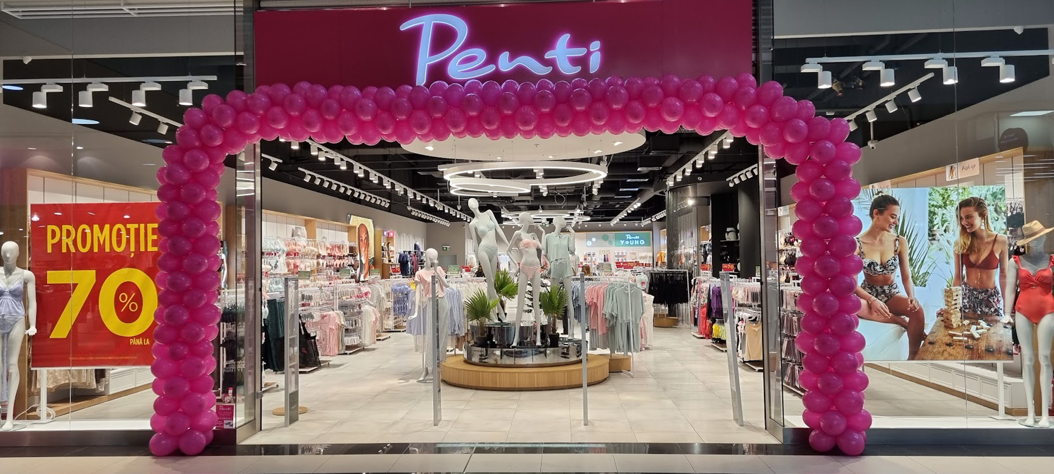 Proiect Penti